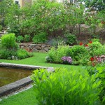 Tracy Memorial Library Garden Tour