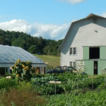 Visit and Picnic at Sweetland Farm