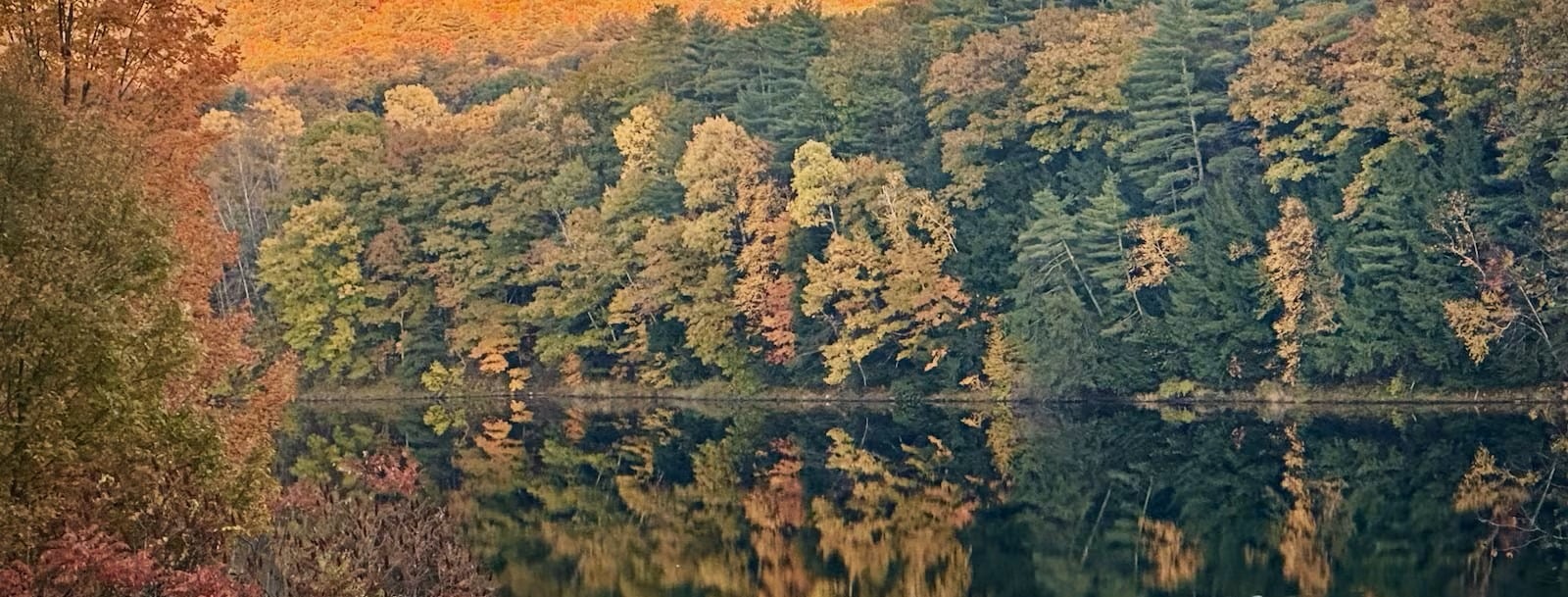 Fall river foliage