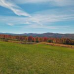 Apple Picking at Patch